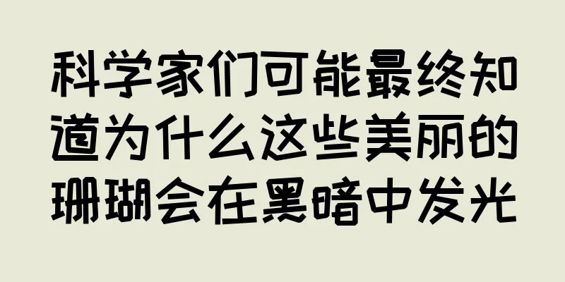 科学家们可能最终知道为什么这些美丽的珊瑚会在黑暗中发光