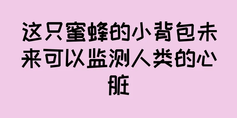 这只蜜蜂的小背包未来可以监测人类的心脏