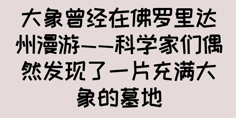 大象曾经在佛罗里达州漫游——科学家们偶然发现了一片充满大象的墓地