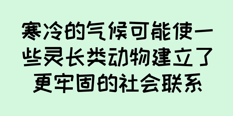 寒冷的气候可能使一些灵长类动物建立了更牢固的社会联系