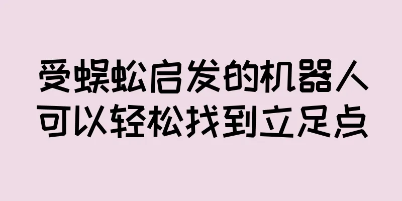 受蜈蚣启发的机器人可以轻松找到立足点