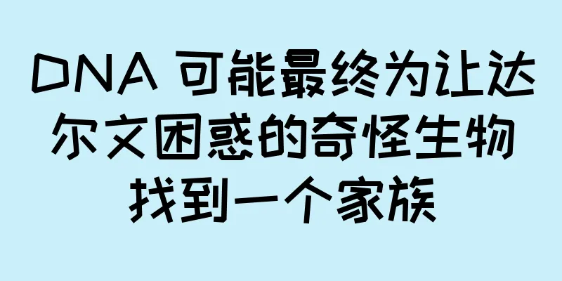 DNA 可能最终为让达尔文困惑的奇怪生物找到一个家族
