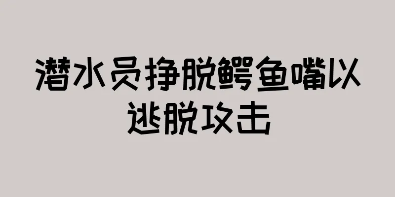 潜水员挣脱鳄鱼嘴以逃脱攻击