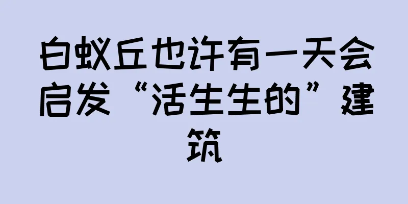 白蚁丘也许有一天会启发“活生生的”建筑