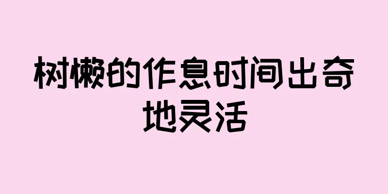 树懒的作息时间出奇地灵活