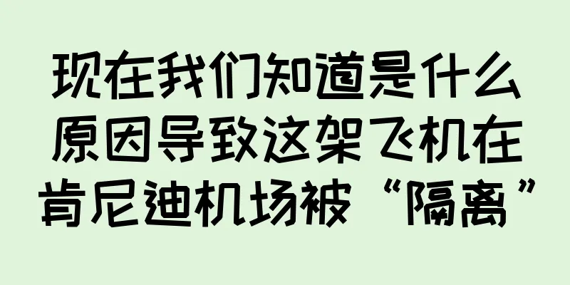 现在我们知道是什么原因导致这架飞机在肯尼迪机场被“隔离”