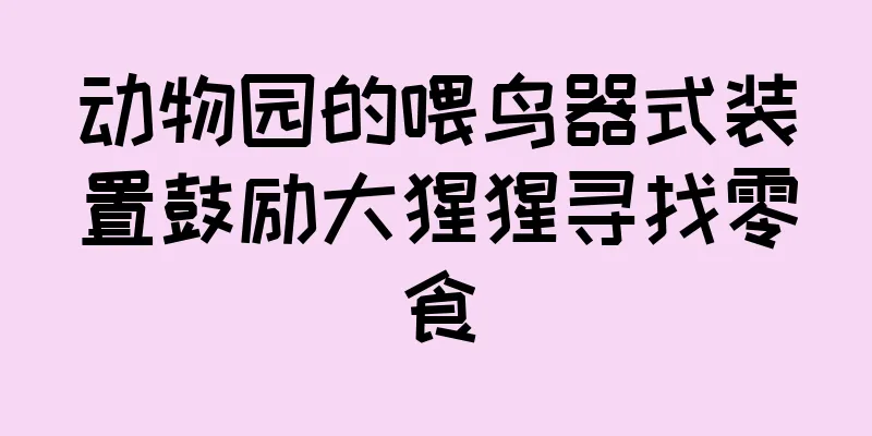 动物园的喂鸟器式装置鼓励大猩猩寻找零食