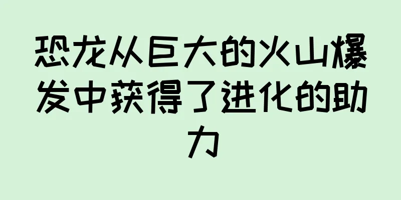 恐龙从巨大的火山爆发中获得了进化的助力