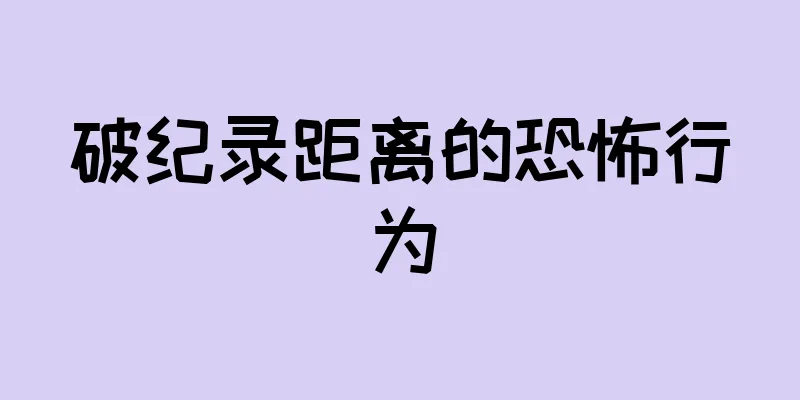 破纪录距离的恐怖行为