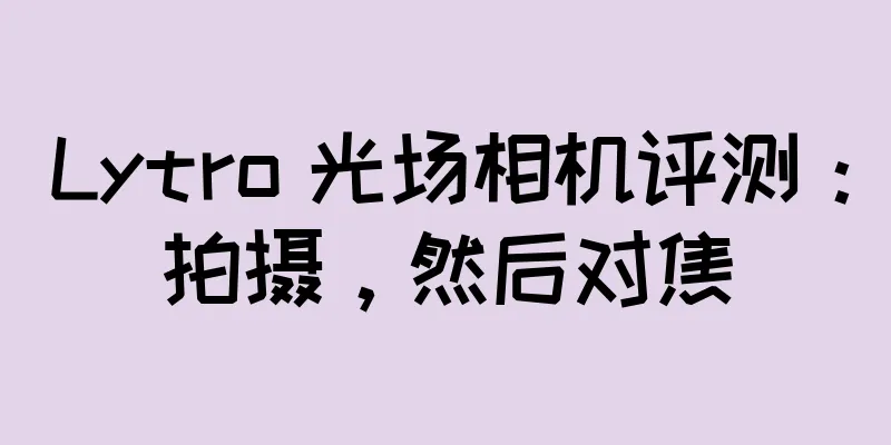 Lytro 光场相机评测：拍摄，然后对焦
