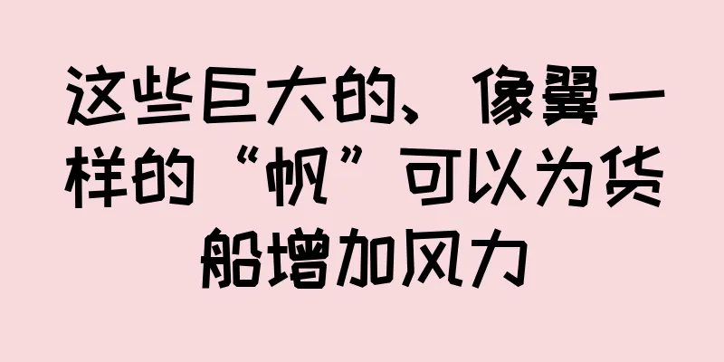 这些巨大的、像翼一样的“帆”可以为货船增加风力