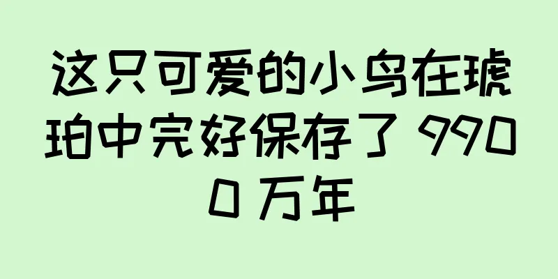 这只可爱的小鸟在琥珀中完好保存了 9900 万年