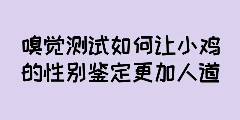 嗅觉测试如何让小鸡的性别鉴定更加人道