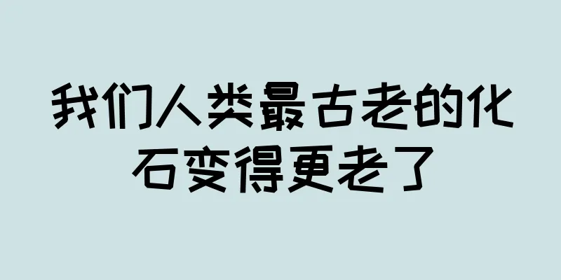 我们人类最古老的化石变得更老了