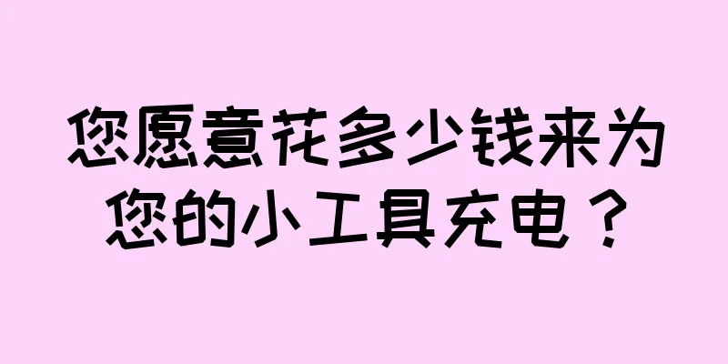 您愿意花多少钱来为您的小工具充电？