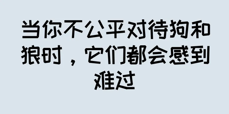 当你不公平对待狗和狼时，它们都会感到难过