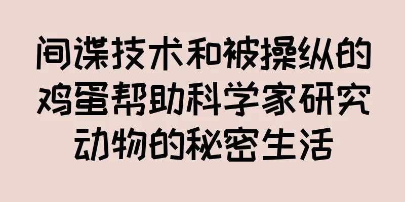 间谍技术和被操纵的鸡蛋帮助科学家研究动物的秘密生活