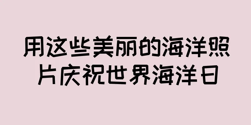 用这些美丽的海洋照片庆祝世界海洋日