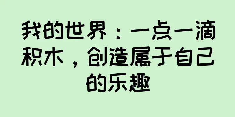 我的世界：一点一滴积木，创造属于自己的乐趣