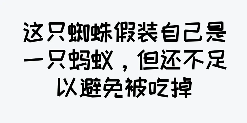 这只蜘蛛假装自己是一只蚂蚁，但还不足以避免被吃掉