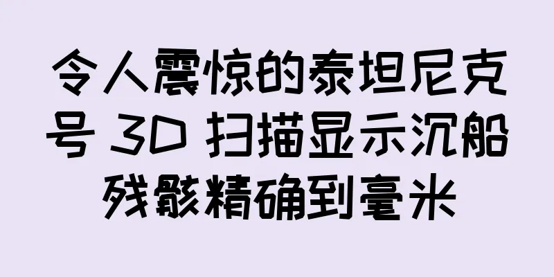 令人震惊的泰坦尼克号 3D 扫描显示沉船残骸精确到毫米