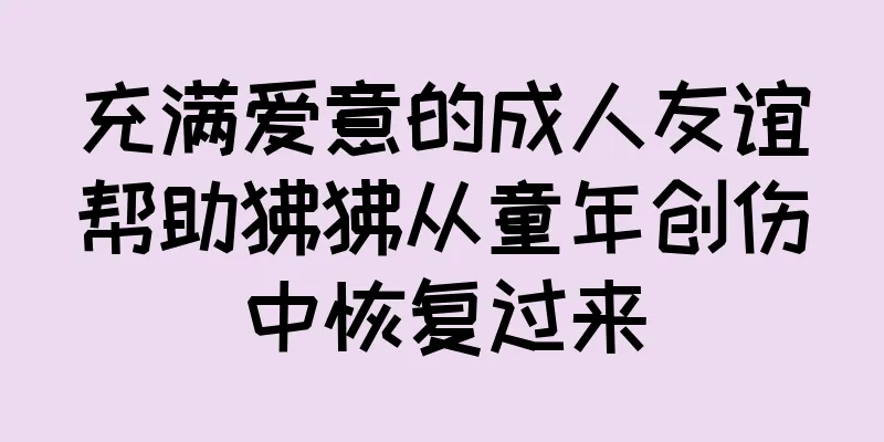 充满爱意的成人友谊帮助狒狒从童年创伤中恢复过来