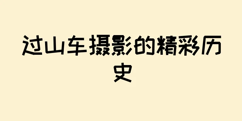 过山车摄影的精彩历史