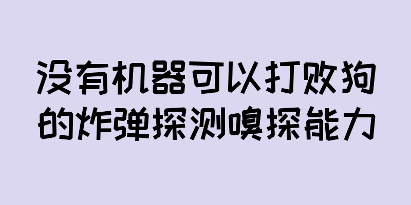 没有机器可以打败狗的炸弹探测嗅探能力