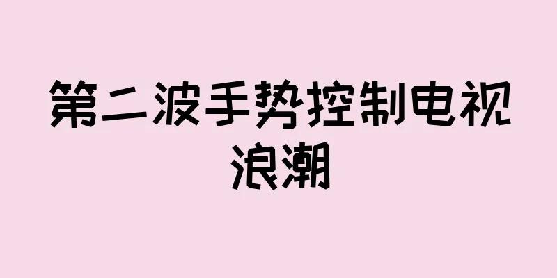 第二波手势控制电视浪潮