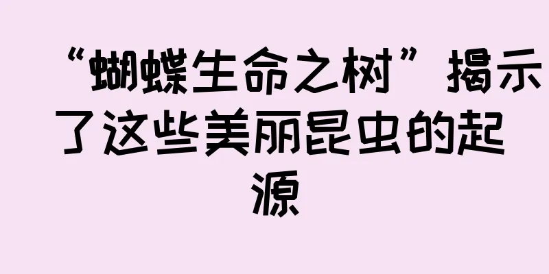 “蝴蝶生命之树”揭示了这些美丽昆虫的起源