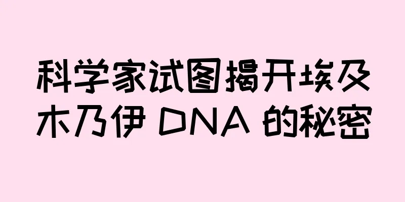 科学家试图揭开埃及木乃伊 DNA 的秘密