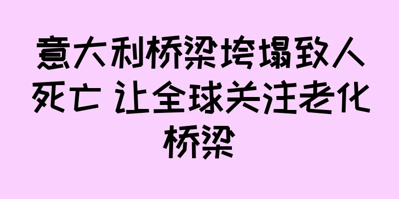 意大利桥梁垮塌致人死亡 让全球关注老化桥梁