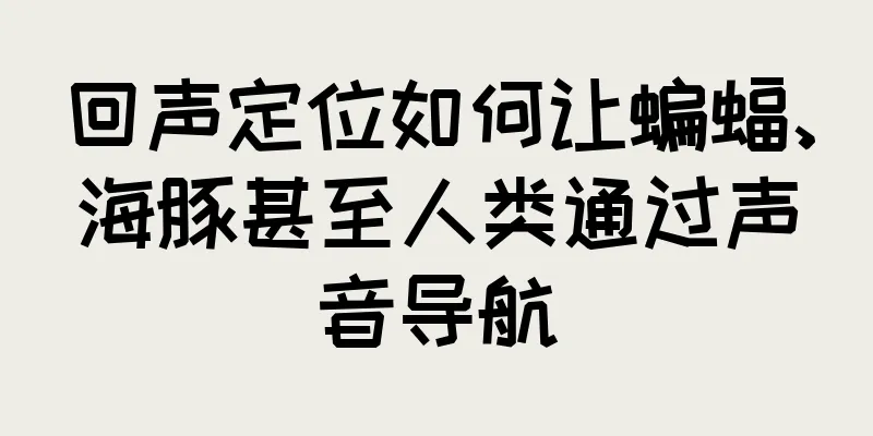 回声定位如何让蝙蝠、海豚甚至人类通过声音导航