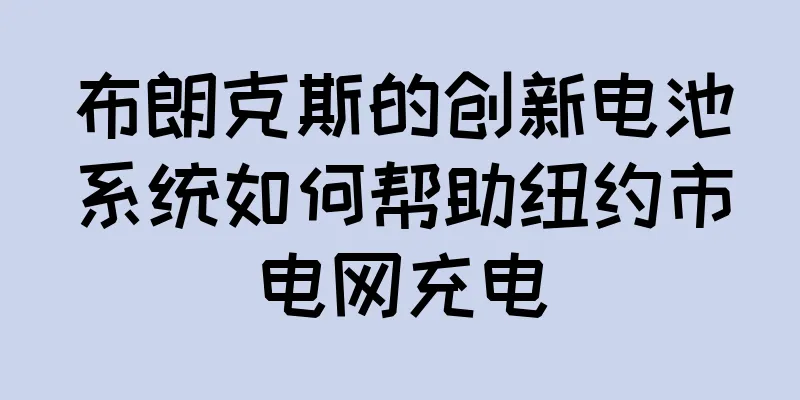 布朗克斯的创新电池系统如何帮助纽约市电网充电