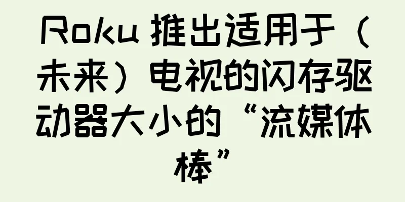 Roku 推出适用于（未来）电视的闪存驱动器大小的“流媒体棒”