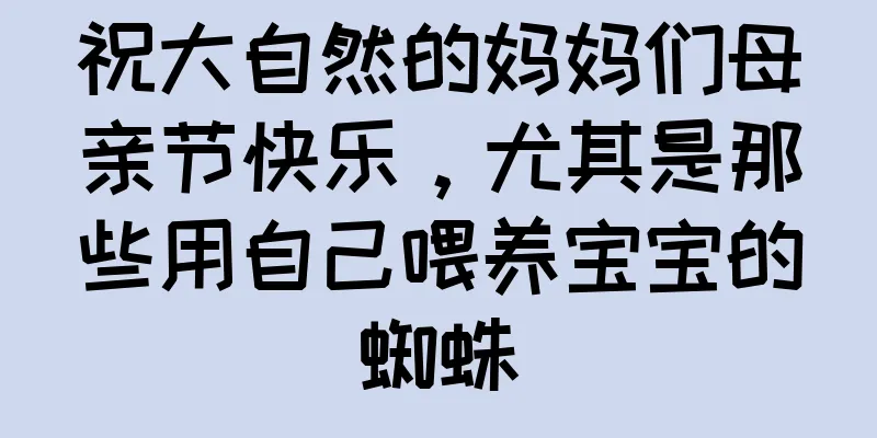 祝大自然的妈妈们母亲节快乐，尤其是那些用自己喂养宝宝的蜘蛛