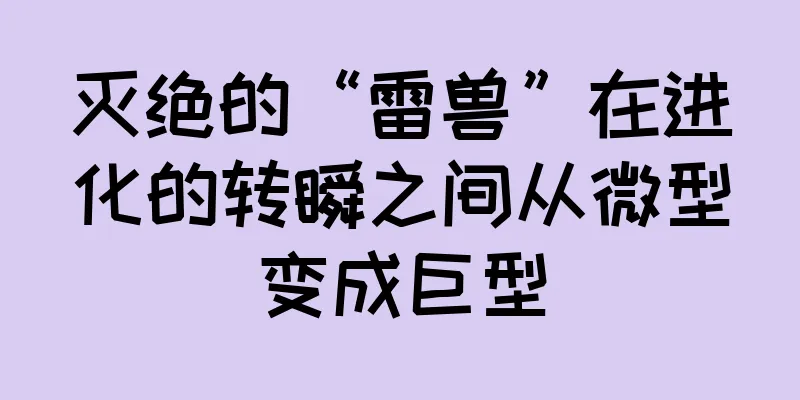 灭绝的“雷兽”在进化的转瞬之间从微型变成巨型