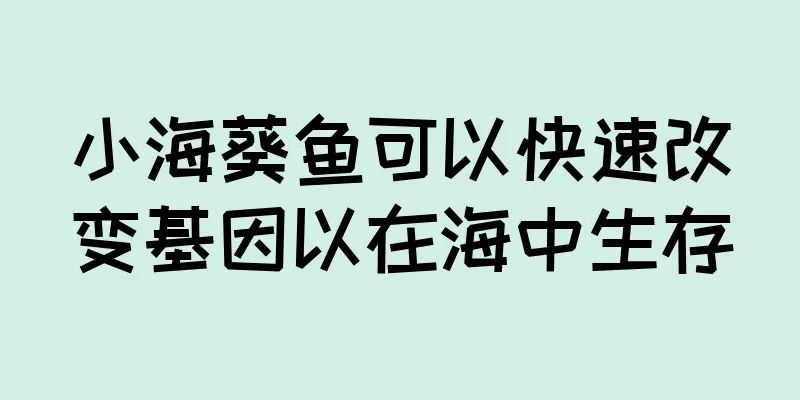 小海葵鱼可以快速改变基因以在海中生存