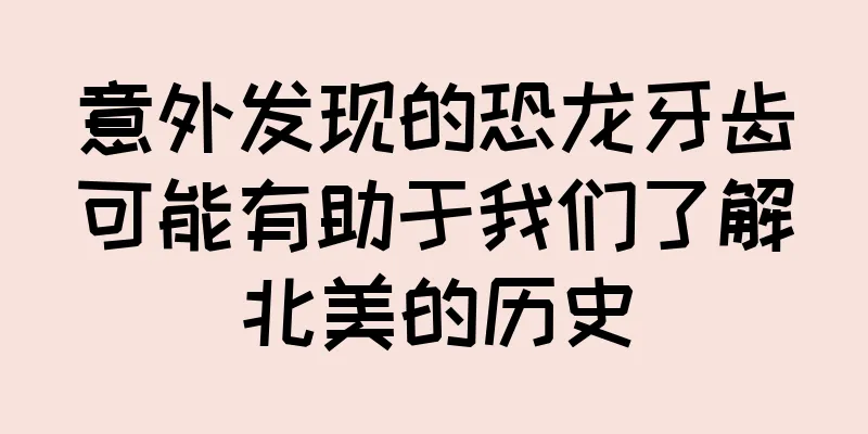 意外发现的恐龙牙齿可能有助于我们了解北美的历史