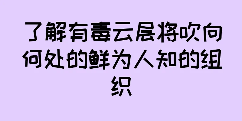 了解有毒云层将吹向何处的鲜为人知的组织