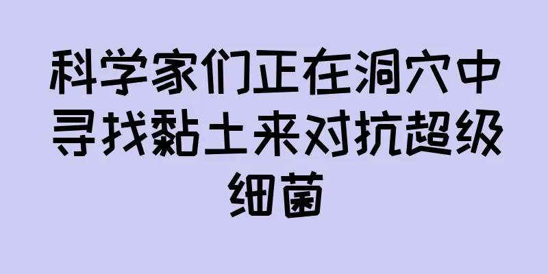 科学家们正在洞穴中寻找黏土来对抗超级细菌
