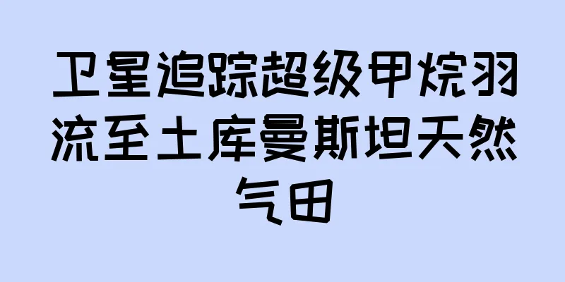 卫星追踪超级甲烷羽流至土库曼斯坦天然气田