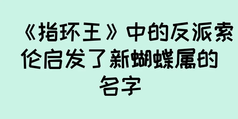 《指环王》中的反派索伦启发了新蝴蝶属的名字