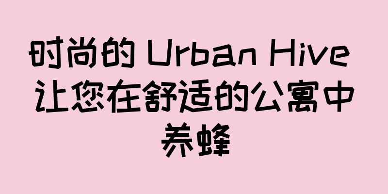 时尚的 Urban Hive 让您在舒适的公寓中养蜂