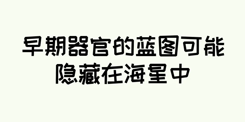 早期器官的蓝图可能隐藏在海星中