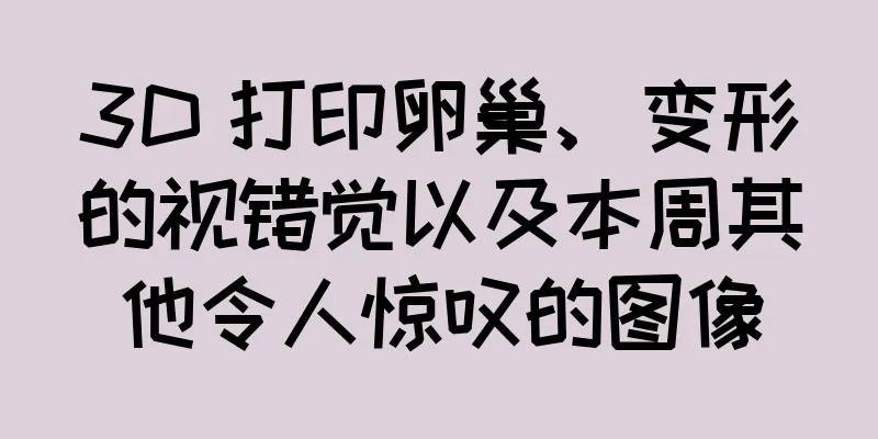 3D 打印卵巢、变形的视错觉以及本周其他令人惊叹的图像