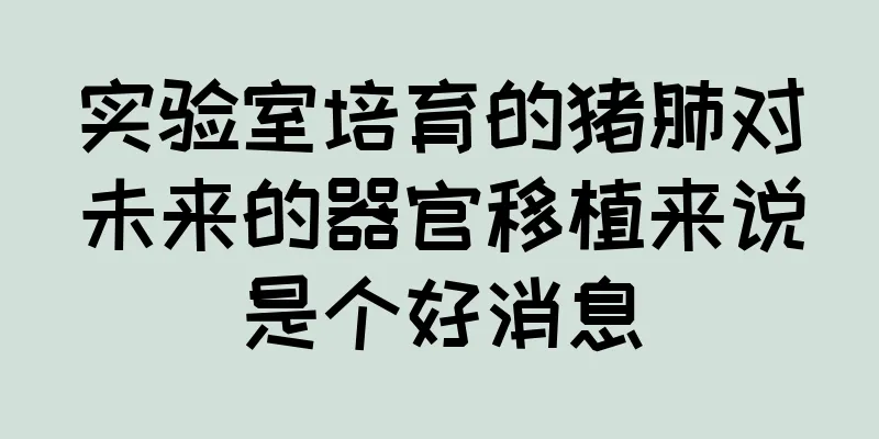 实验室培育的猪肺对未来的器官移植来说是个好消息
