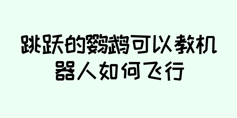 跳跃的鹦鹉可以教机器人如何飞行