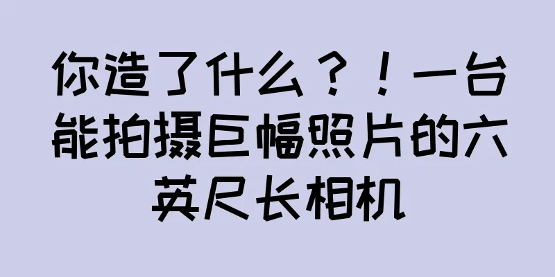 你造了什么？！一台能拍摄巨幅照片的六英尺长相机