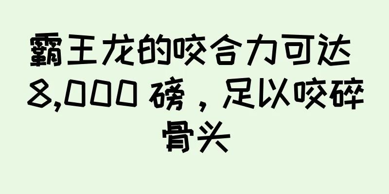 霸王龙的咬合力可达 8,000 磅，足以咬碎骨头